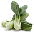 Organic Choy Pak Bunch