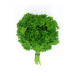 Organic Fresh Herb Curley Parsley