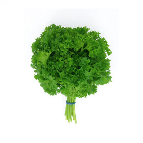 Organic Fresh Herb Curley Parsley