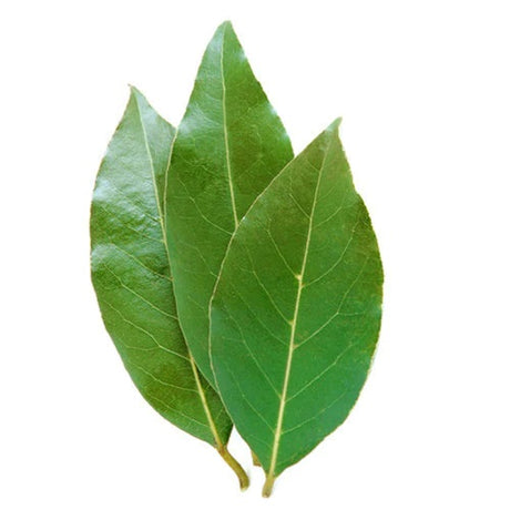 Organic Fresh Herb Bay Leaves