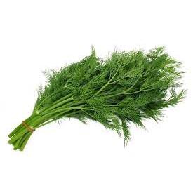 Organic Fresh Herb Dill Bunch