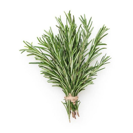 Organic Fresh Herb Rosemary Bunch