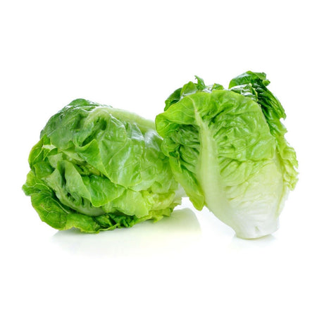 Certified Organic Lettuce Mini Cos