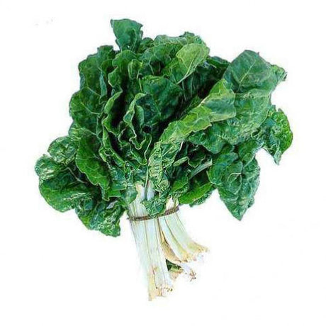 Organic Silverbeet Bunch