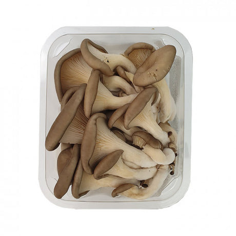 Organic Oyster Mushroom Punnet