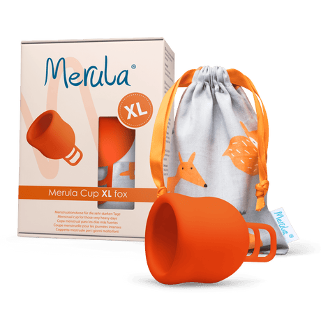 Merula Merula Cup Fox