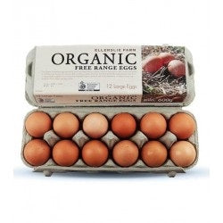 Ellerslie Farm Eggs Organic Free Range Eggs Jumbo 800g