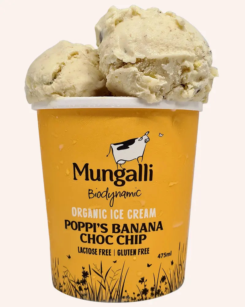 Mungalli Poppi's Banana Chocolate Chip 475ml