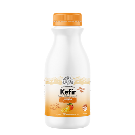 Babushka's Kefir Mango 500g