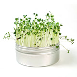 Untamed Health Mini Broccoli Grow Kit