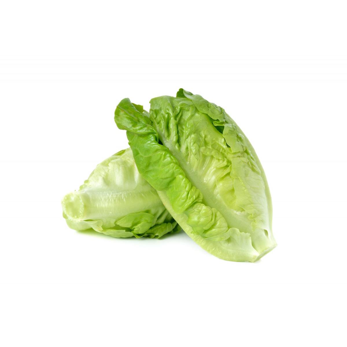 Certified Organic Lettuce Cos Each