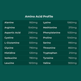 Cymbiotika Plant Protein 848g