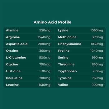 Cymbiotika Plant Protein 848g