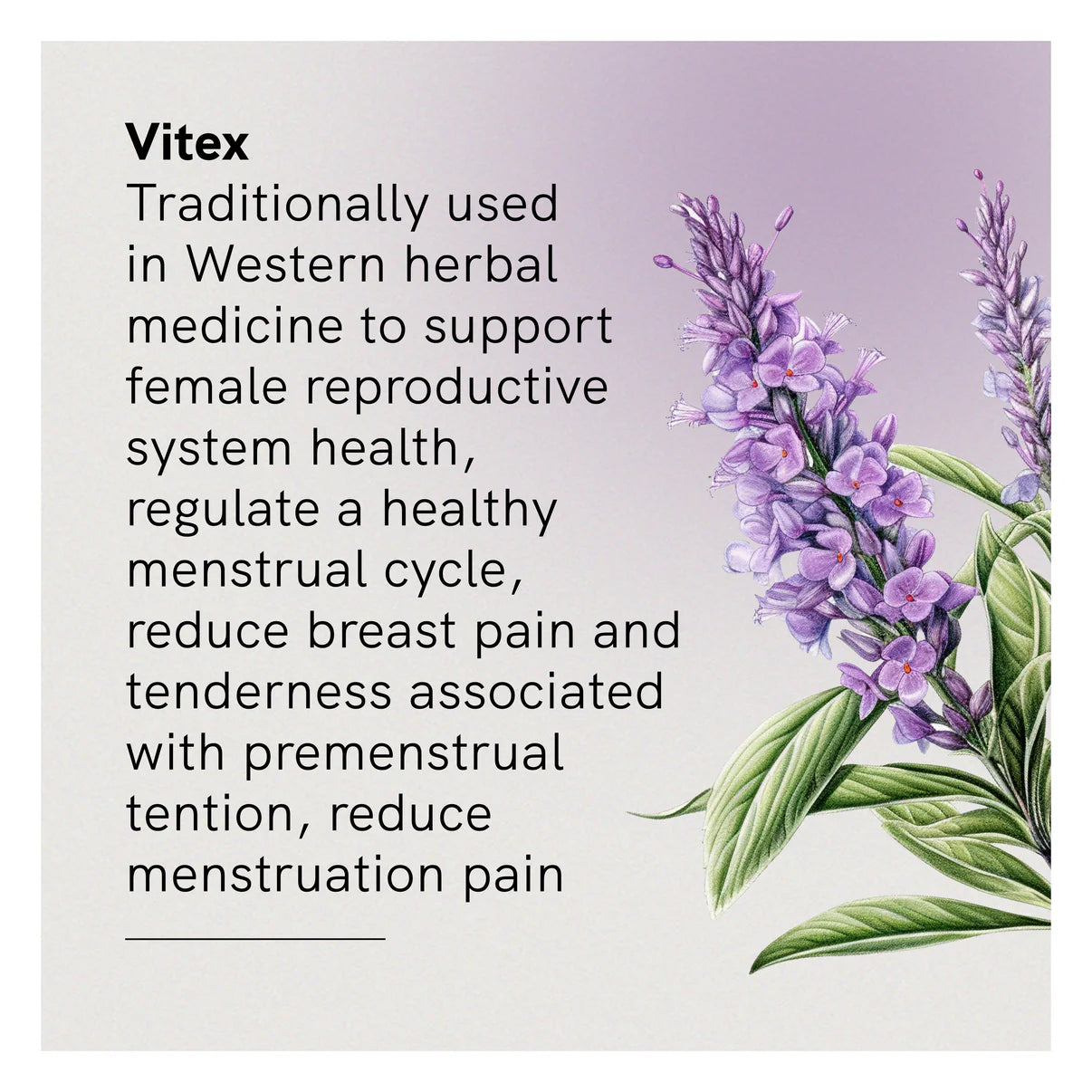 Fusion Health Vitex 120 Tablets