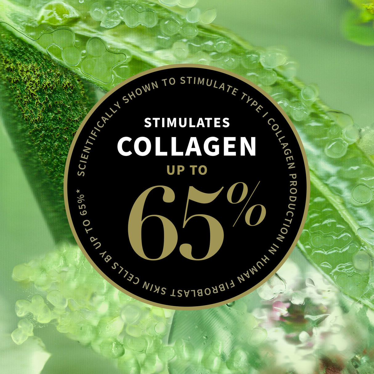 Antipodes Lime Caviar Collagen-Rich Firming Cream 60ml