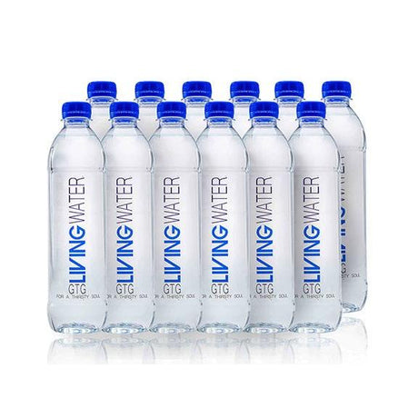 Living Water 24x500ml