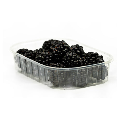 Organic Blackberries Punnet