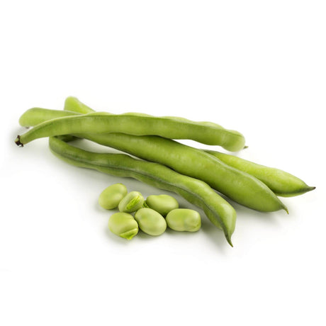 Organic Broad Beans Loose Per Kg