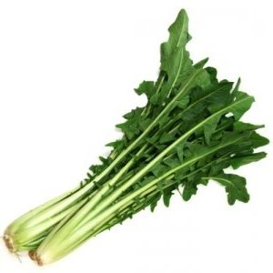 Organic Chicory Bunch