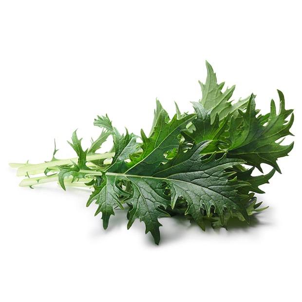 Organic Mizuna Green Bunch