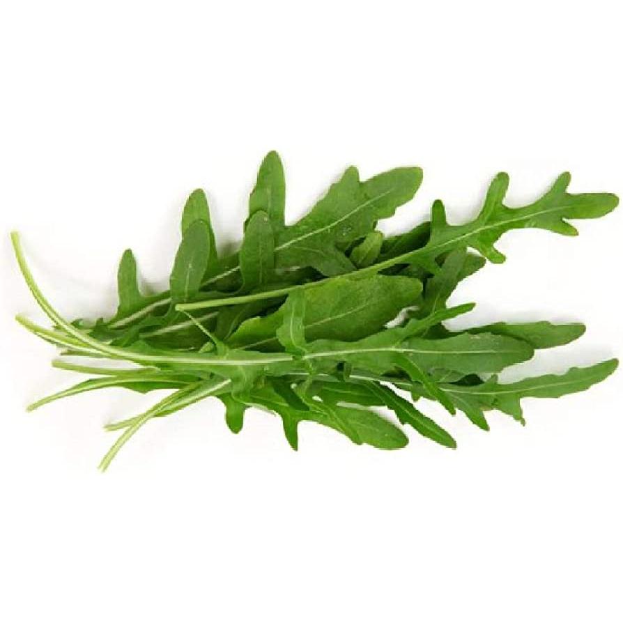 Organic Rocket