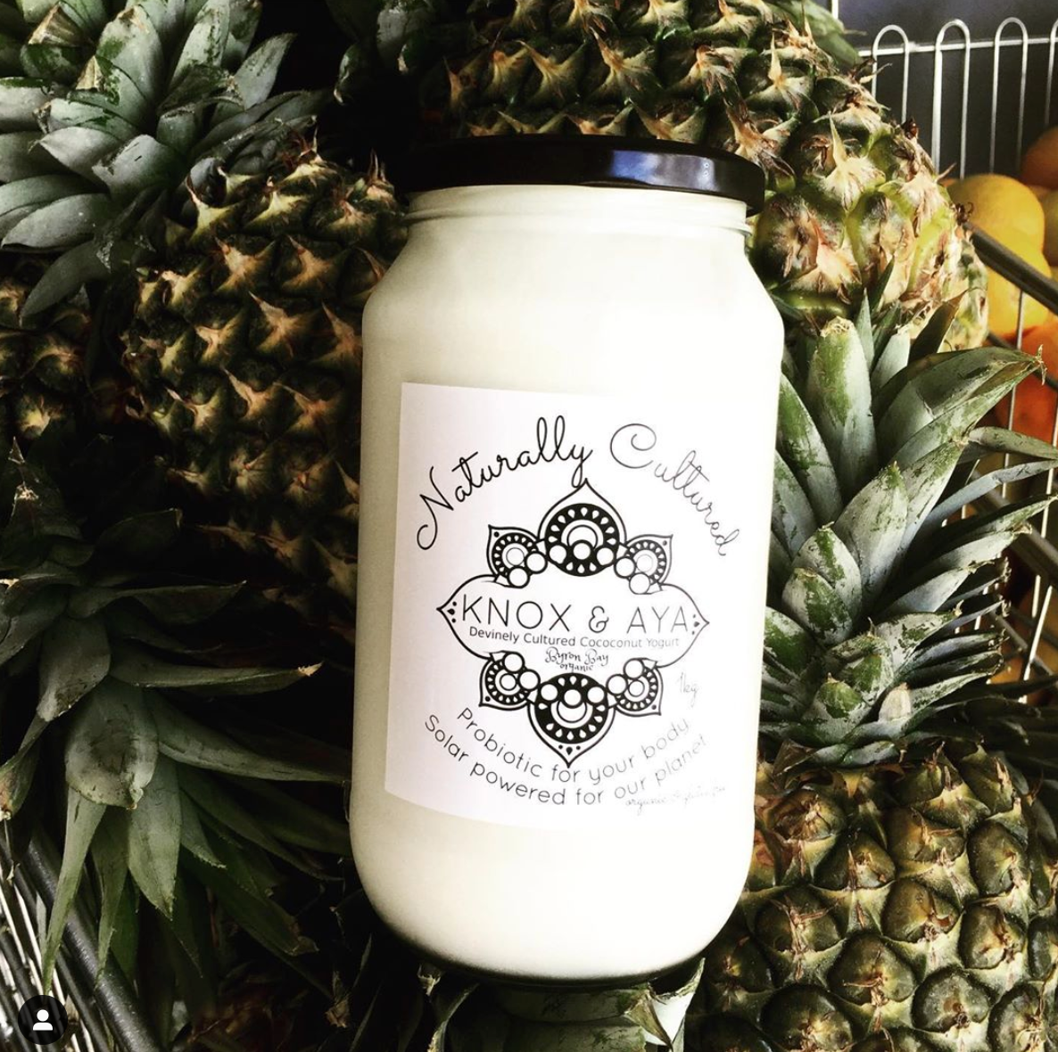 Knox & Aya Greek Style Probiotic Coconut Yoghurt 500g