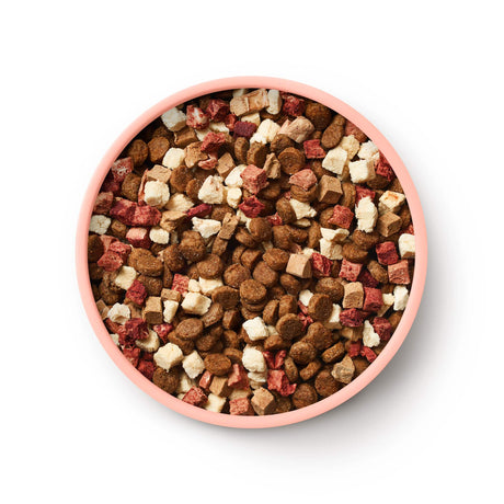 Animals Like Us RawMix50 with Ocean Fish Dry Dog Food  340G