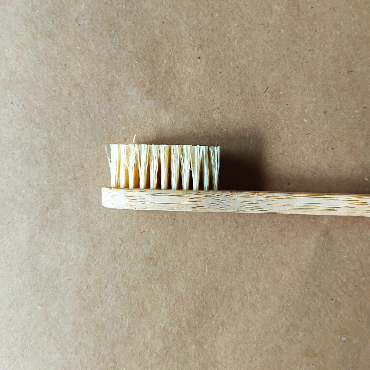 Bamboo toothbrush with bristles on a brown background