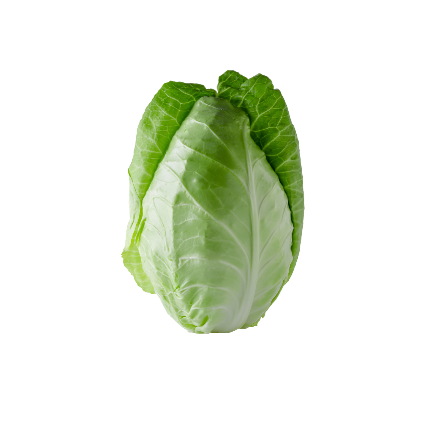 Cabbage Sugarloaf Whole