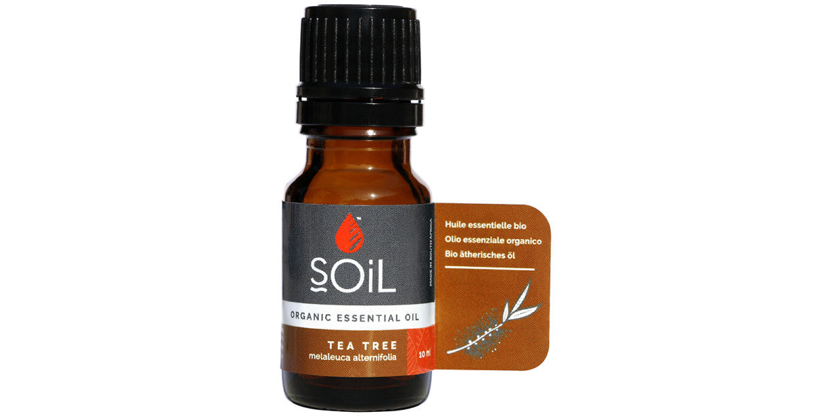 Soil Tea Tree Essential Oil 10ml